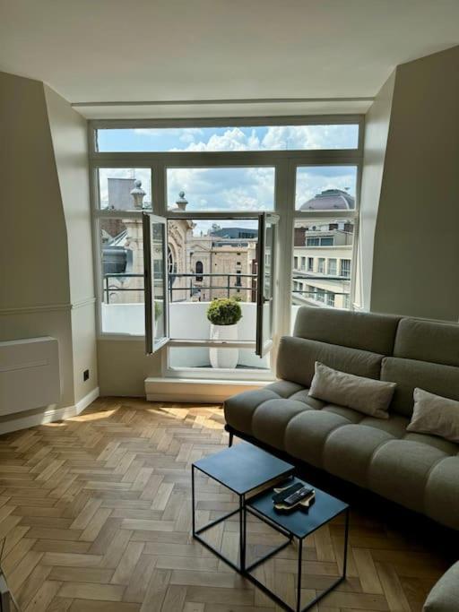 Bel Climatise En Plein Coeur De Appartement *