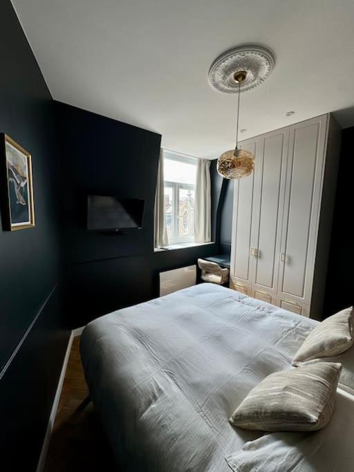 Bel Climatise En Plein Coeur De Appartement Rijsel